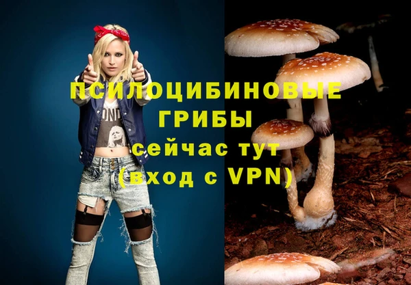 ECSTASY Протвино