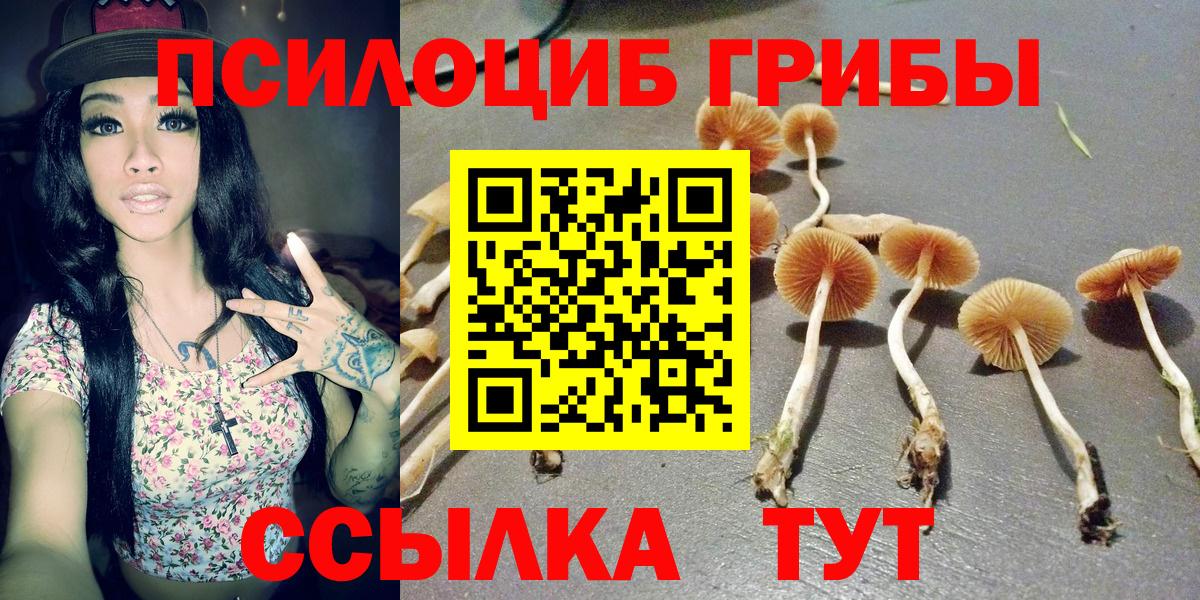 Энгельс  Псилоцибиновые грибы ЛСД  Псилоцибиновые грибы мицелий  Вход с VPN 